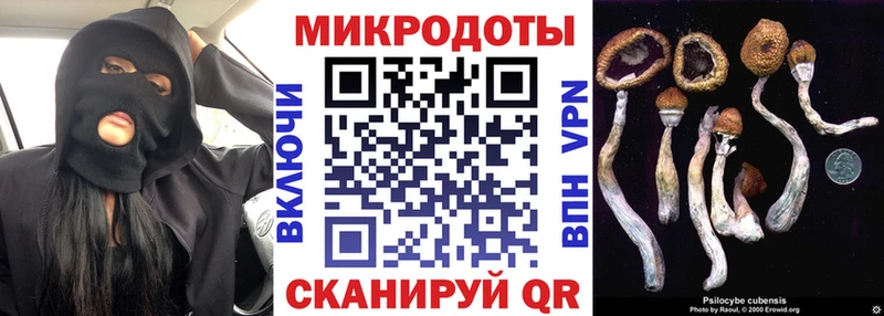 Купить где  Зарайск  Псилоцибиновые грибы MAGIC MUSHROOMS 