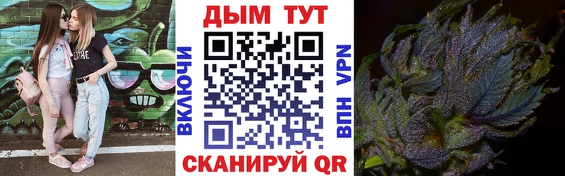 Купить где Зарайск Каннабис план